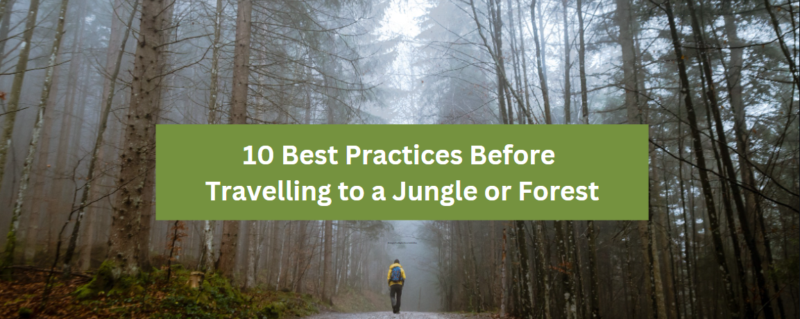 10 Best Practices Before Travelling to a Jungle or Forest