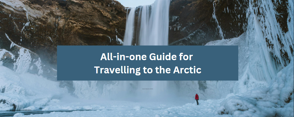 All-in-one Guide for Travelling to the Arctic