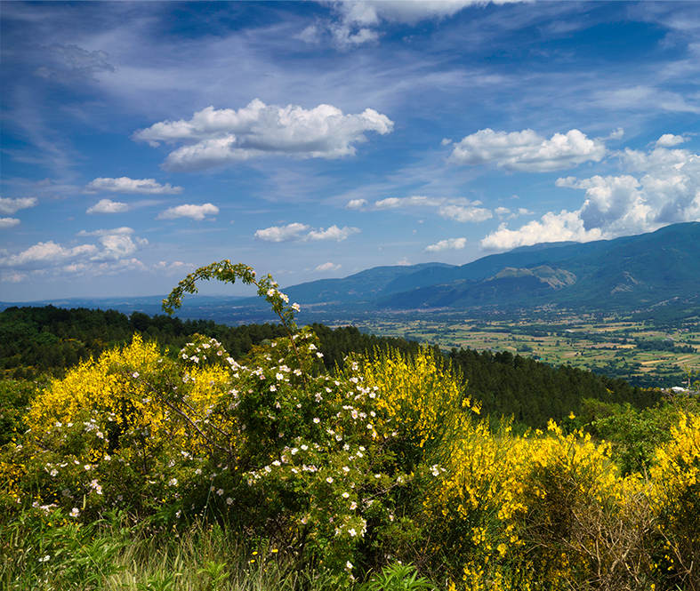 Pollino National Park