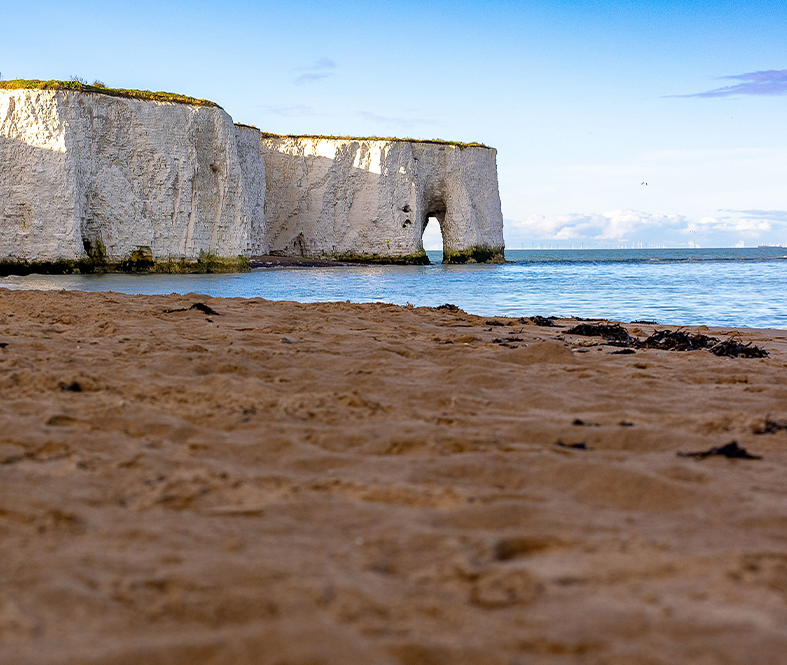 Botany Bay